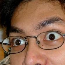 Taucher auf dem Handy (grins)